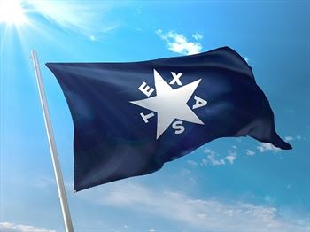 Battle Flag of Texas- Cotton First Republic 1836 - de Zavala 