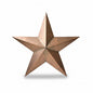 THANK YOU - Bronze Metal Star