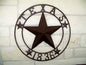 Metal Art with Texas 1836