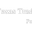 Texas Trading Post logo