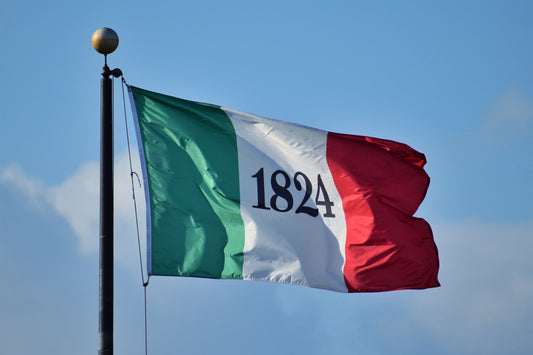 Battle Flag of Texas - Alamo 1824 Flag