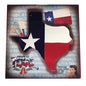 Texas Shaped Texas Baking Pan with Texas Flag