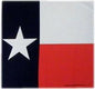 Texas Flag Bandana