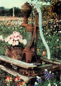 Texas Greeting Cards - Texas Bluebonnets and Water Pump