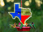 Texas Shaped Hummingbird Feeder