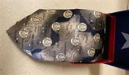 Silk Texas Tie with Texas State Seal