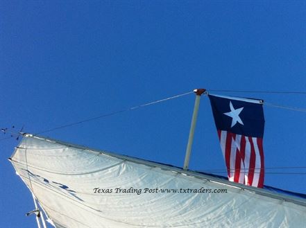 Battle Flag of Texas - Texas Navy